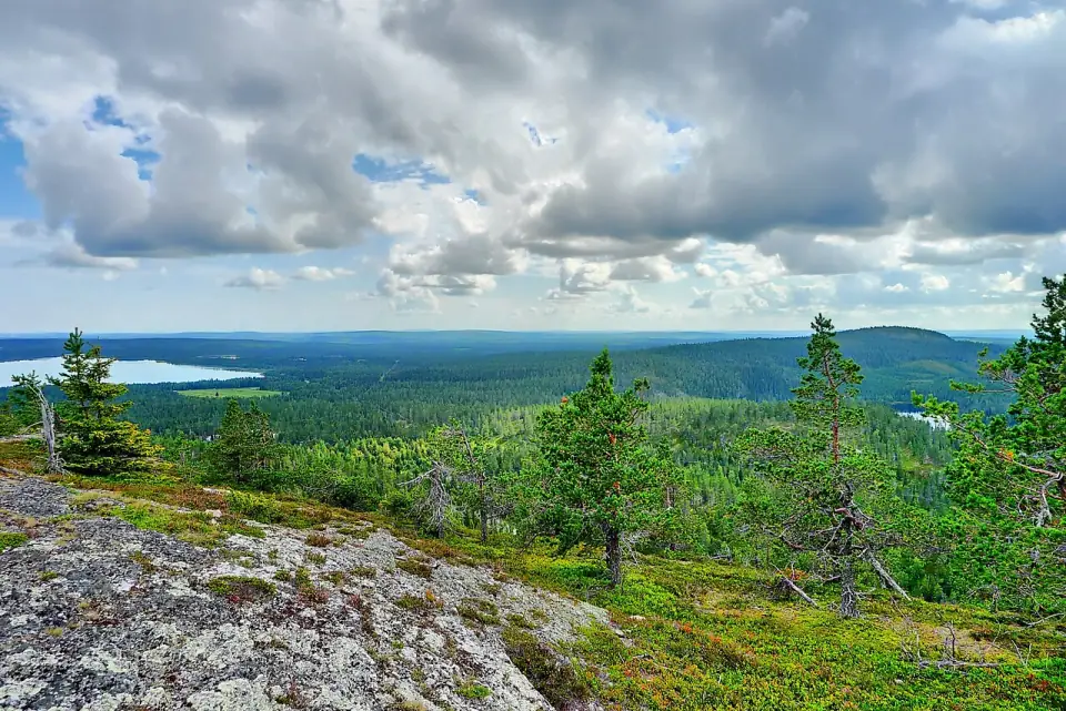 Juhannuskallio (7813671436)