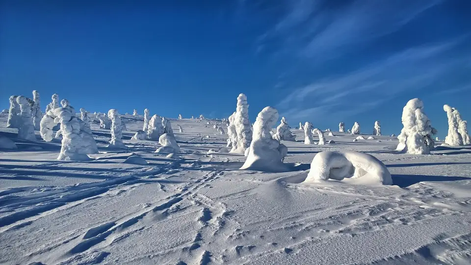 Riisitunturi (39133832090)