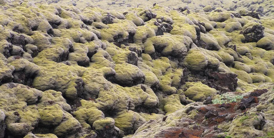 Kirkjubæjarklaustur-Lavafeld-06-2018-gje